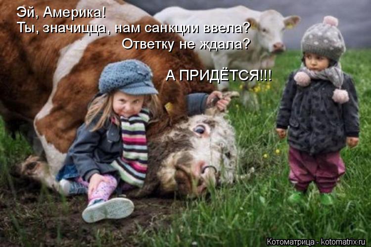 Ты, значицца, нам санкции ввела? Эй, Америка! Ответку не ждала? А ПРИДЁТСЯ!!!... Котоматрица: Ты, значицца, нам санкции ввела? Эй, Америка! Ответку не ждала? А ПРИДЁТСЯ!!!
