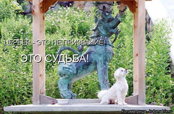 Котоматрица: ЦЕРБЕР - ЭТО НЕ ПРИЗВАНИЕ! ЭТО СУДЬБА!