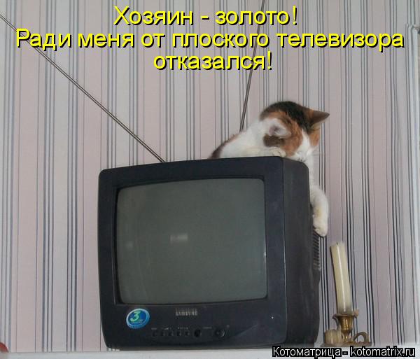Хозяин - золото! Ради меня от плоского телевизора отказался!... Котоматрица: Хозяин - золото! Ради меня от плоского телевизора отказался!