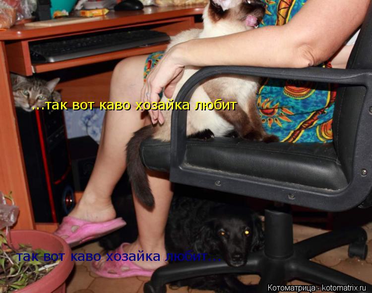...так вот каво хозайка любит так вот каво хозайка любит...... Котоматрица: ...так вот каво хозайка любит так вот каво хозайка любит...