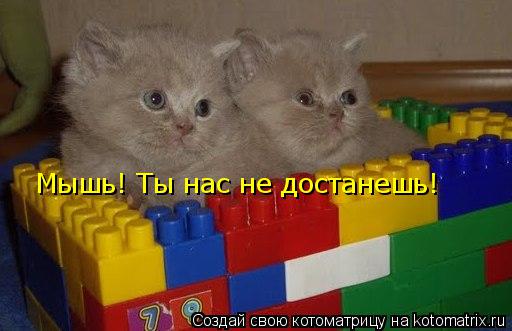 Мышь! Ты нас не достанешь!... Котоматрица: Мышь! Ты нас не достанешь!