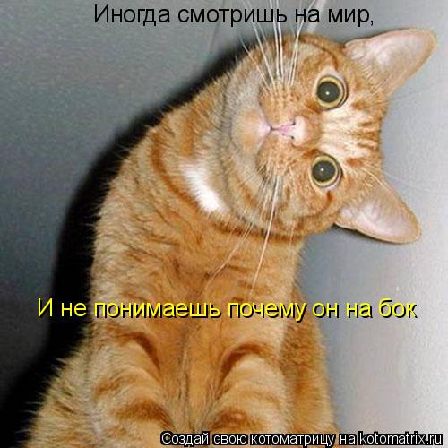 Котоматрица: Иногда смотришь на мир, И не понимаешь почему он на бок