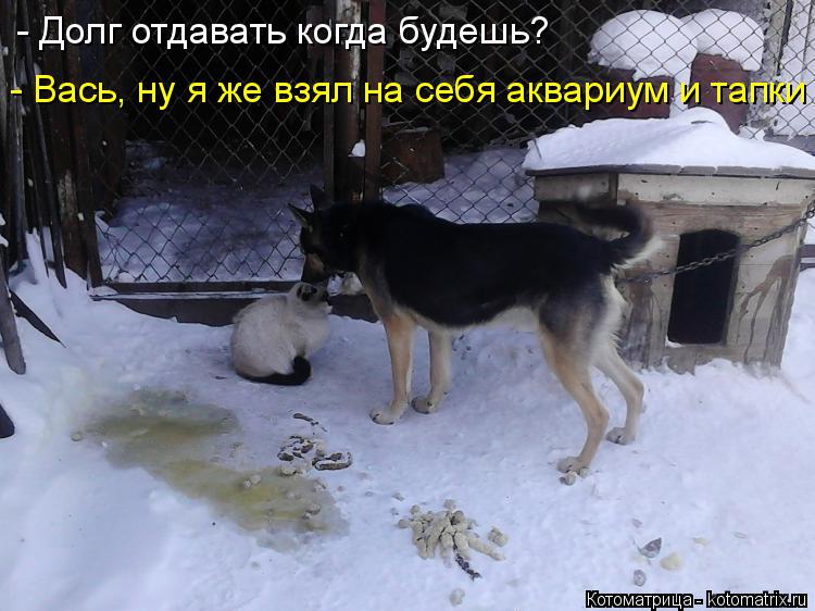 Котоматрица: - Вась, ну я же взял на себя аквариум и тапки  - Долг отдавать когда будешь?