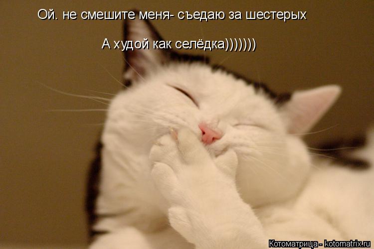 Ой. не смешите меня- съедаю за шестерых А худой как селёдка)))))))... Котоматрица: Ой. не смешите меня- съедаю за шестерых А худой как селёдка)))))))