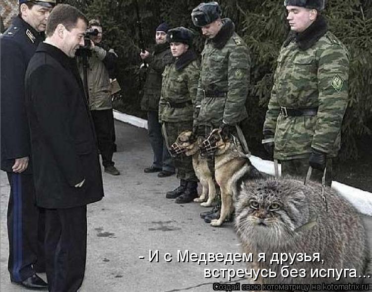 - И с Медведем я друзья, встречусь без испуга....... Котоматрица: - И с Медведем я друзья, встречусь без испуга....