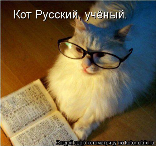 Котоматрица: Кот Русский, учёный.