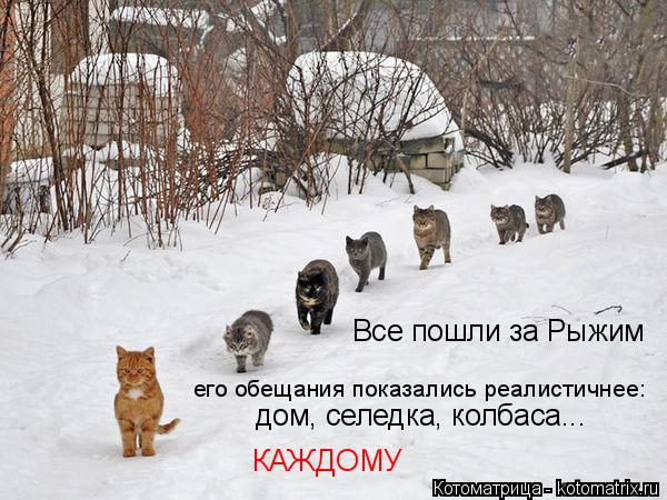 Котоматрица: Все пошли за Рыжим его обещания показались реалистичнее: дом, селедка, колбаса... КАЖДОМУ