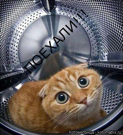 Котоматрица: ПОЕХАЛИ!!!