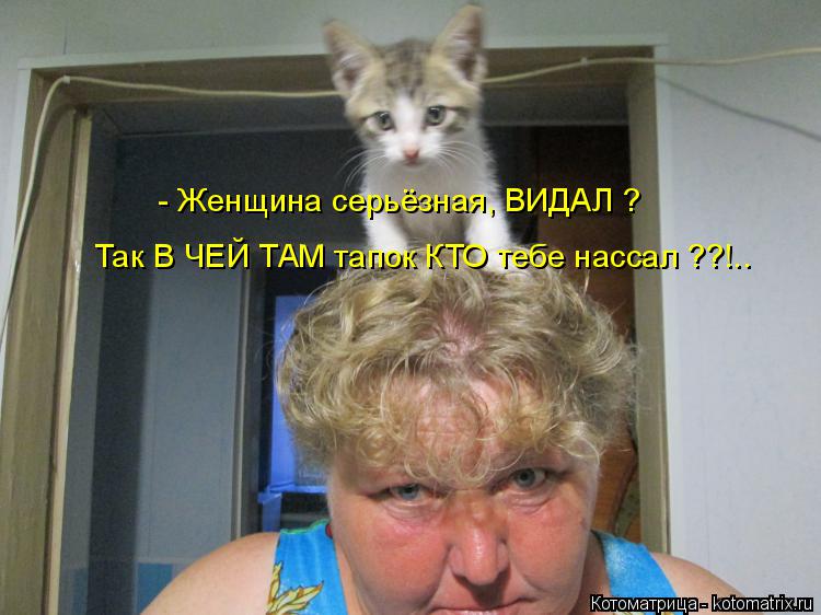 Котоматрица: - Женщина серьёзная, ВИДАЛ ? Так В ЧЕЙ ТАМ тапок КТО тебе нассал ??!..