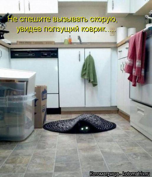 Котоматрица: Не спешите вызывать скорую, увидев ползущий коврик.....