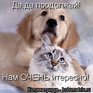 Котоматрица: Да,да продолжай! Нам ОЧЕНЬ итересно!