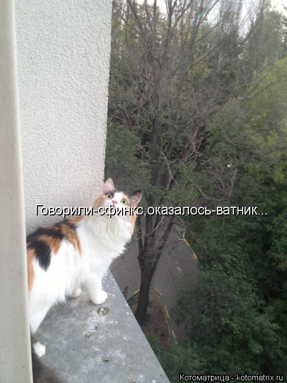 Котоматрица: Говорили-сфинкс,оказалось-ватник...