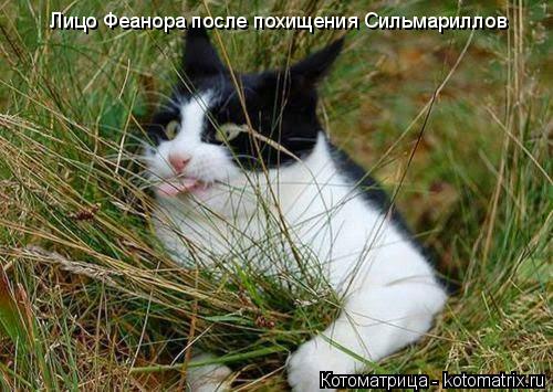 Лицо Феанора после похищения Сильмариллов... Котоматрица: Лицо Феанора после похищения Сильмариллов