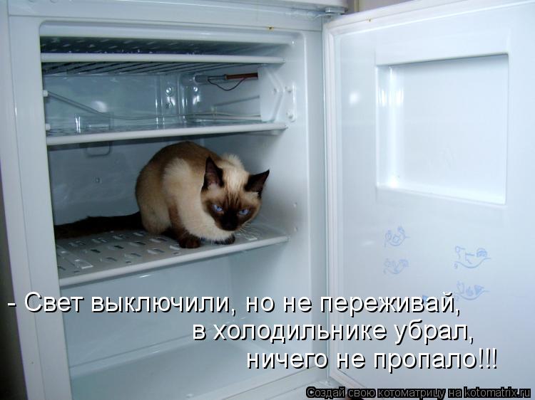 Котоматрица: - Свет выключили, но не переживай, в холодильнике убрал,  ничего не пропало!!!
