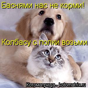 Котоматрица: Колбасу с полки возьми! Баснями нас не корми!