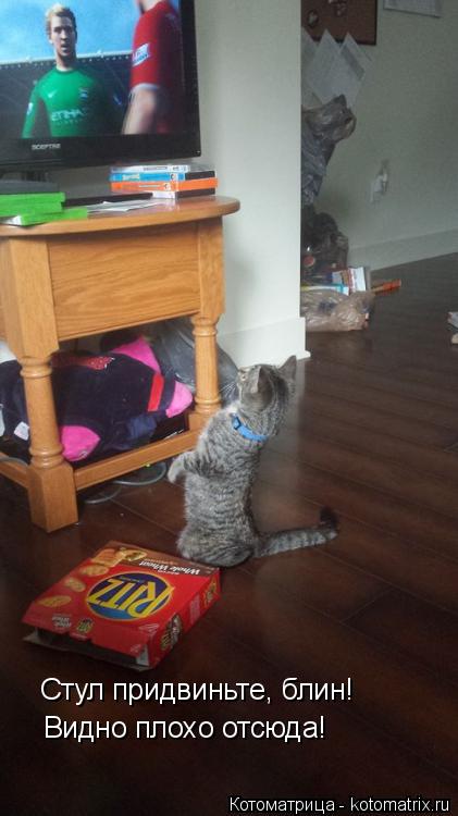 Котоматрица: Стул придвиньте, блин! Видно плохо отсюда!
