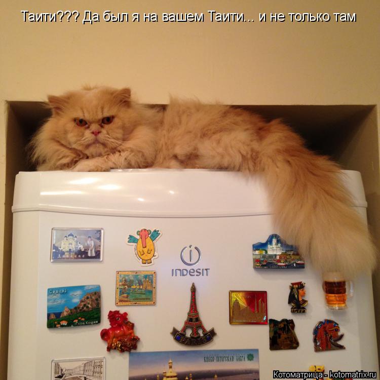 Котоматрица: Таити??? Да был я на вашем Таити... и не только там