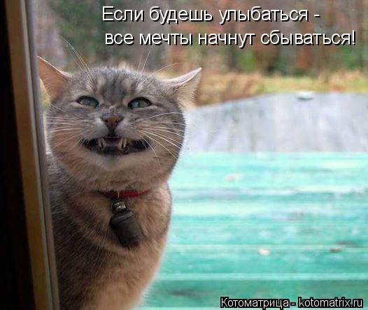 все мечты начнут сбываться! Если будешь улыбаться -... Котоматрица: все мечты начнут сбываться! Если будешь улыбаться -