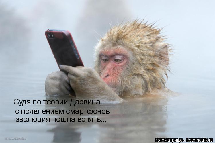 Судя по теории Дарвина, с появлением смартфонов эволюция пошла вспять...... Котоматрица: Судя по теории Дарвина, с появлением смартфонов эволюция пошла вспять...