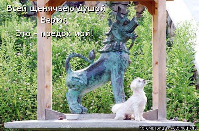 Всей щенячьею душой Верю: Это - предок мой!... Котоматрица: Всей щенячьею душой Верю: Это - предок мой!