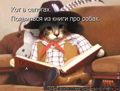 Котоматрица: Кот в сапогах.  Появилься из книги про собак. ^