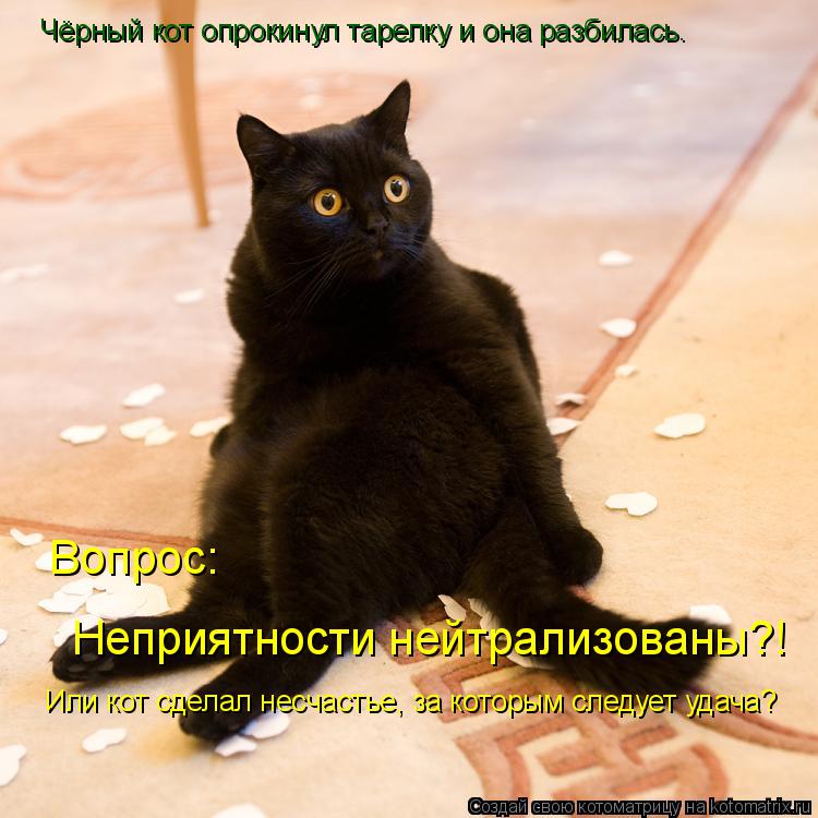 Котоматрица: Чёрный кот опрокинул тарелку и она разбилась. Вопрос: Неприятности нейтрализованы?! Или кот сделал несчастье, за которым следует удача?
