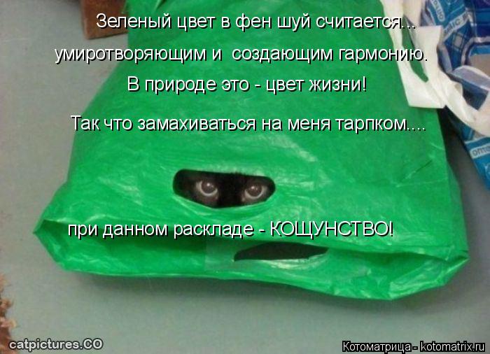 Котоматрица: В природе это - цвет жизни! Зеленый цвет в фен шуй считается... умиротворяющим и  создающим гармонию. Так что замахиваться на меня тарпком.... п