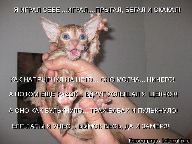 Котоматрица: Я ИГРАЛ СЕБЕ ...ИГРАЛ....ПРЫГАЛ, БЕГАЛ И СКАКАЛ! КАК НАПРЫГНУЛ НА НЕГО... ОНО МОЛЧА... НИЧЕГО! А ПОТОМ ЕЩЕ РАЗОК... ВДРУГ УСЛЫШАЛ Я ЩЕЛЧОК! А ОНО КАК 