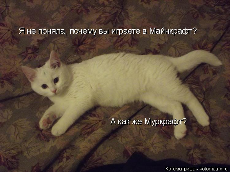 Я не поняла, почему вы играете в Майнкрафт? А как же Муркрафт?... Котоматрица: Я не поняла, почему вы играете в Майнкрафт? А как же Муркрафт?