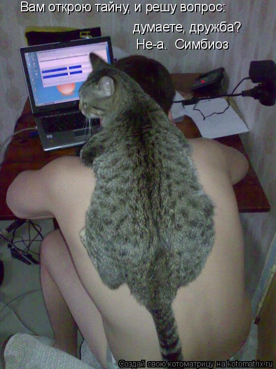 Котоматрица: Вам открою тайну, и решу вопрос: думаете, дружба? Не-а.  Симбиоз