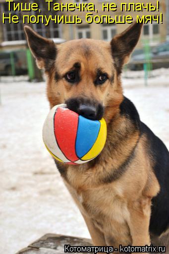 Тише, Танечка, не плачь! Не получишь больше мяч!... Котоматрица: Тише, Танечка, не плачь! Не получишь больше мяч!