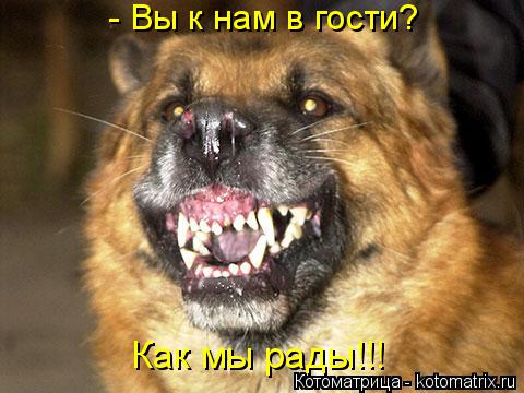 - Вы к нам в гости? Как мы рады!!!... Котоматрица: - Вы к нам в гости? Как мы рады!!!