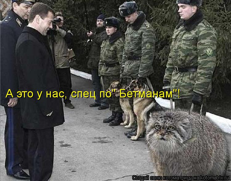 А это у нас, спец по" Бетманам"!... Котоматрица: А это у нас, спец по" Бетманам"!