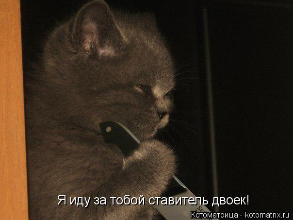 Я иду за тобой ставитель двоек!... Котоматрица: Я иду за тобой ставитель двоек!