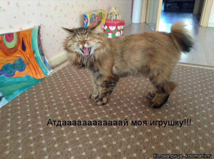 Атдаааааааааааай моя игрушку!!!... Котоматрица: Атдаааааааааааай моя игрушку!!!