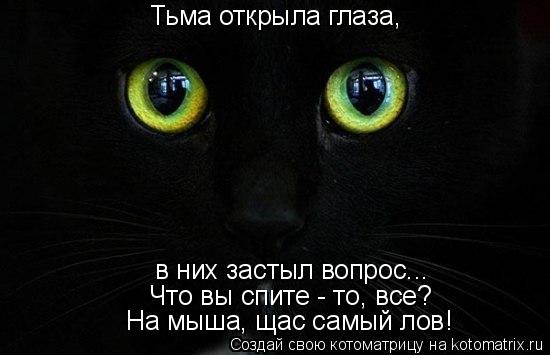 Тьма открыла глаза, в них застыл вопрос... Что вы спите - то, все? На мыша, щас самый лов!... Котоматрица: Тьма открыла глаза, в них застыл вопрос... Что вы спите - то, все? На мыша, щас самый лов!