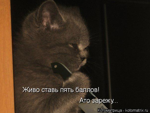 Живо ставь пять баллов! Ато зарежу...... Котоматрица: Живо ставь пять баллов! Ато зарежу...