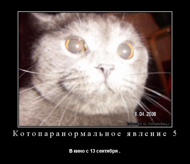 Котоматрица: Котопаранормальное явление 5 В кино с 13 сентября .