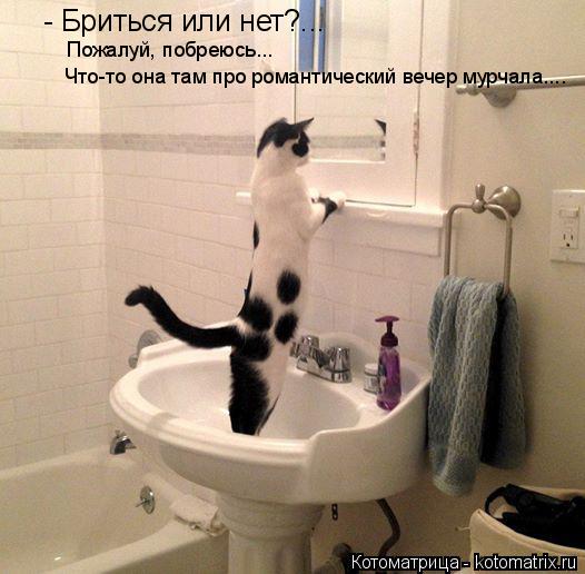 - Бриться или нет?... Пожалуй, побреюсь... Что-то она там про романтический вечер мурчала....... Котоматрица: - Бриться или нет?... Пожалуй, побреюсь... Что-то она там про романтический вечер мурчала....
