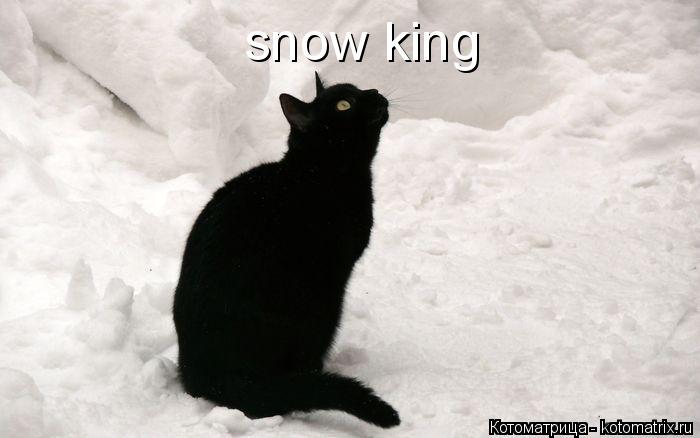 Котоматрица: snow king