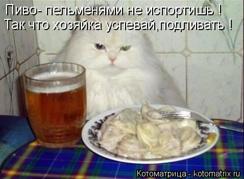 Пиво- пельменями не испортишь ! Так что хозяйка успевай,подливать !... Котоматрица: Пиво- пельменями не испортишь ! Так что хозяйка успевай,подливать !