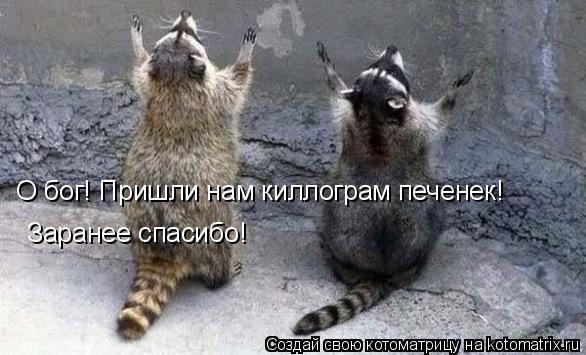 О бог! Пришли нам киллограм печенек! Заранее спасибо!... Котоматрица: О бог! Пришли нам киллограм печенек! Заранее спасибо!