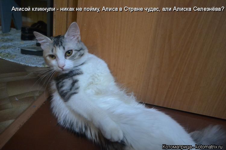 Алисой кликнули - никак не пойму, Алиса в Стране чудес, али Алиска Селезнёва?... Котоматрица: Алисой кликнули - никак не пойму, Алиса в Стране чудес, али Алиска Селезнёва?