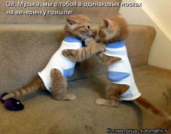 Котоматрица: Ой, Муська, мы с тобой в одинаковых носках  на вечеринку пришли!