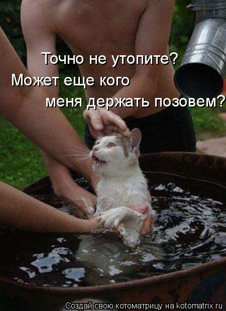 Точно не утопите? Может еще кого меня держать позовем?... Котоматрица: Точно не утопите? Может еще кого меня держать позовем?