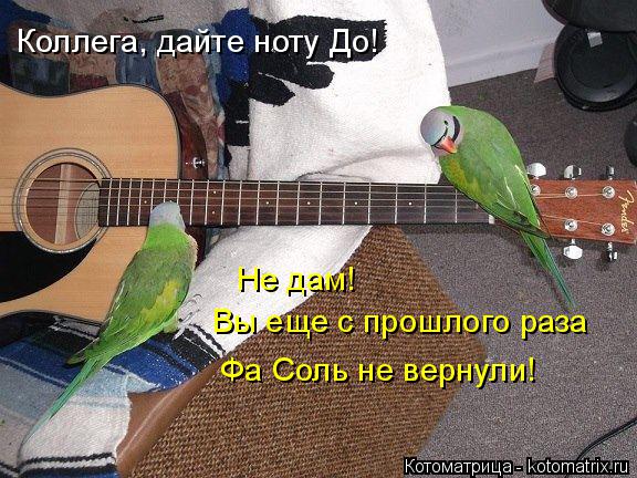 Коллега, дайте ноту До! Не дам! Вы еще с прошлого раза Фа Соль не вернули!... Котоматрица: Коллега, дайте ноту До! Не дам! Вы еще с прошлого раза Фа Соль не вернули!