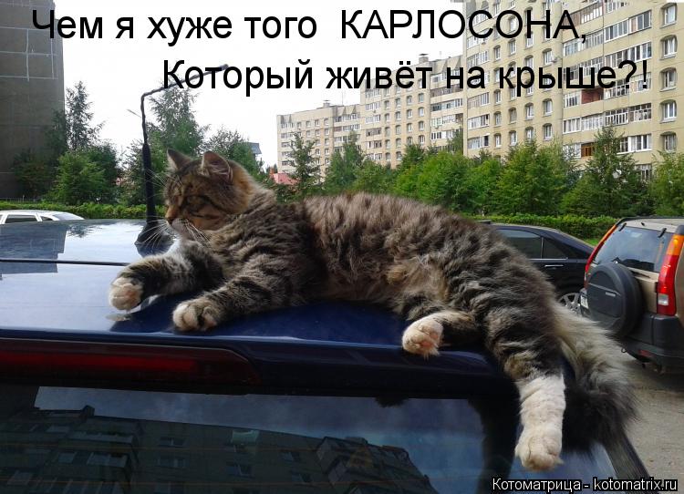 Чем я хуже того КАРЛОСОНА, Который живёт на крыше?!... Котоматрица: Чем я хуже того КАРЛОСОНА, Который живёт на крыше?!