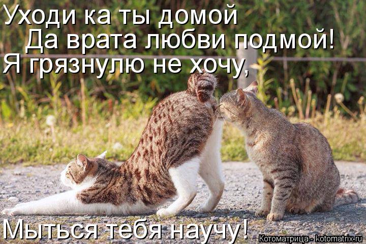 Котоматрица: Уходи ка ты домой Да врата любви подмой! Я грязнулю не хочу, Мыться тебя научу!