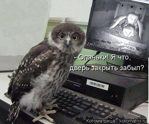 Котоматрица: - Опаньки! Я что, дверь закрыть забыл?