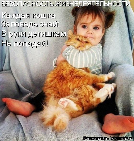 Котоматрица: БЕЗОПАСНОСТЬ ЖИЗНЕДЕЯТЕЛЬНОСТИ Каждая кошка Заповедь знай: В руки детишкам Не попадай!